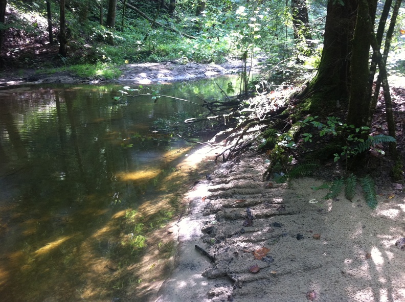 Sheltowee Trace_ Red River Gorge 1.jpg